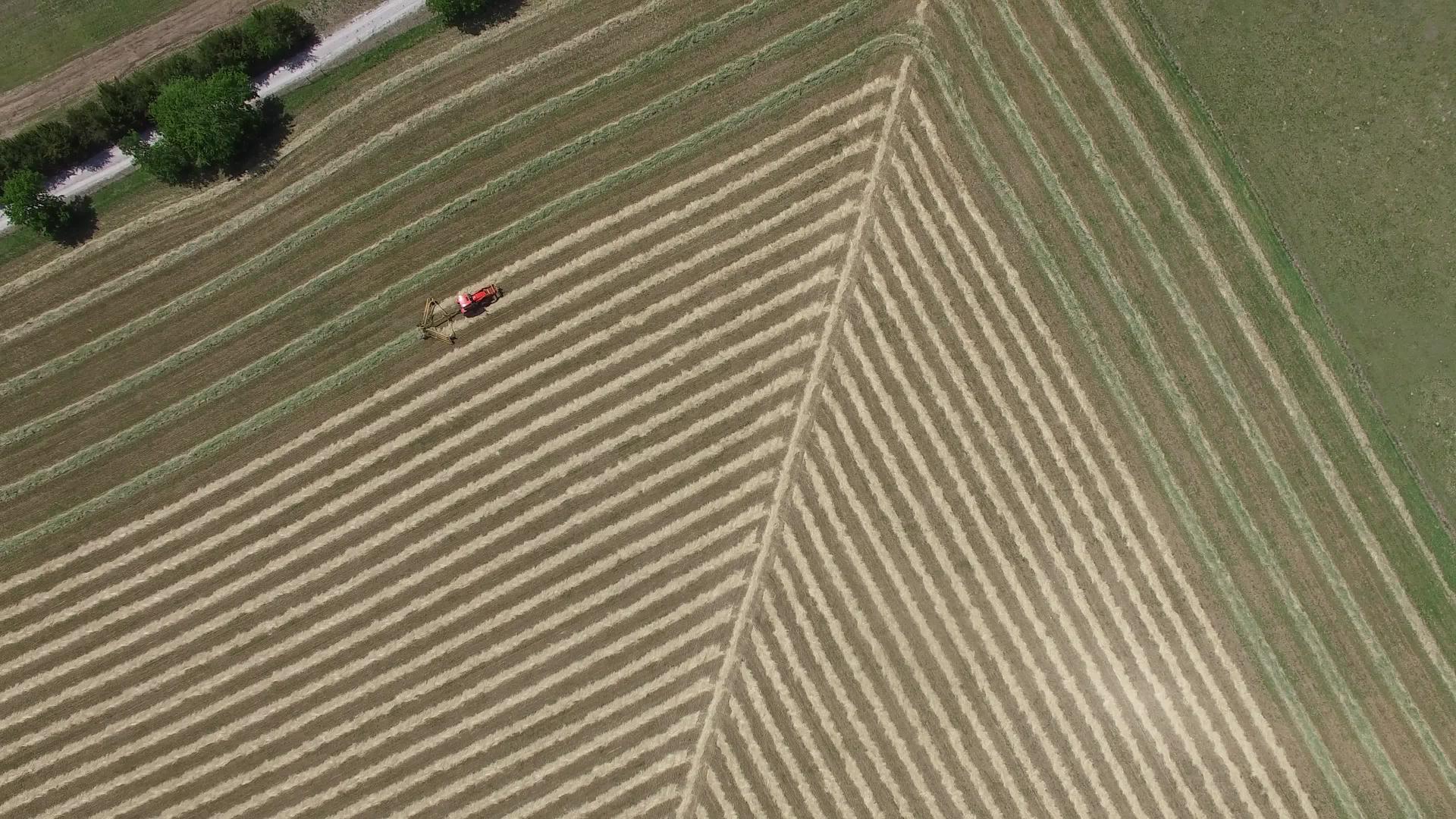用拖拉机在一个田野里收割干草视频的预览图