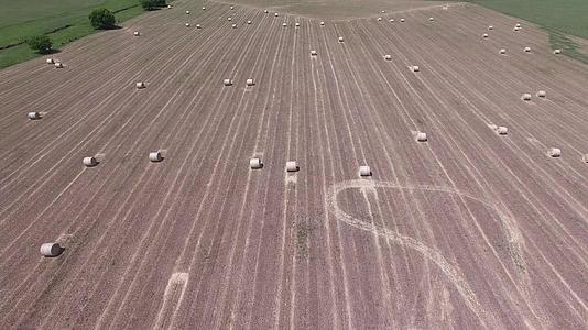 带干草胶卷的田地空中视频视频的预览图