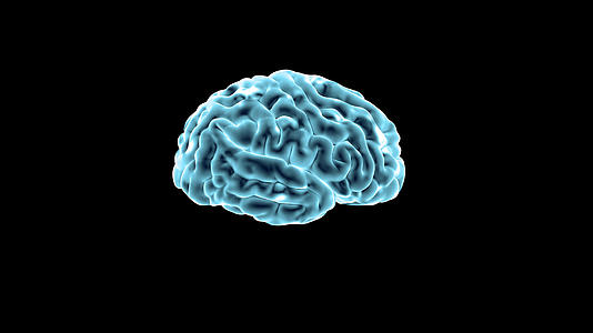 人体大脑三维动画透明通道4k视频的预览图