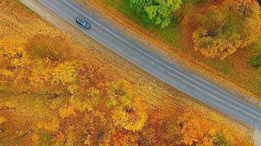 秋季最好的森林道路和汽车建筑城市汽车停放无人驾驶飞机视频的预览图