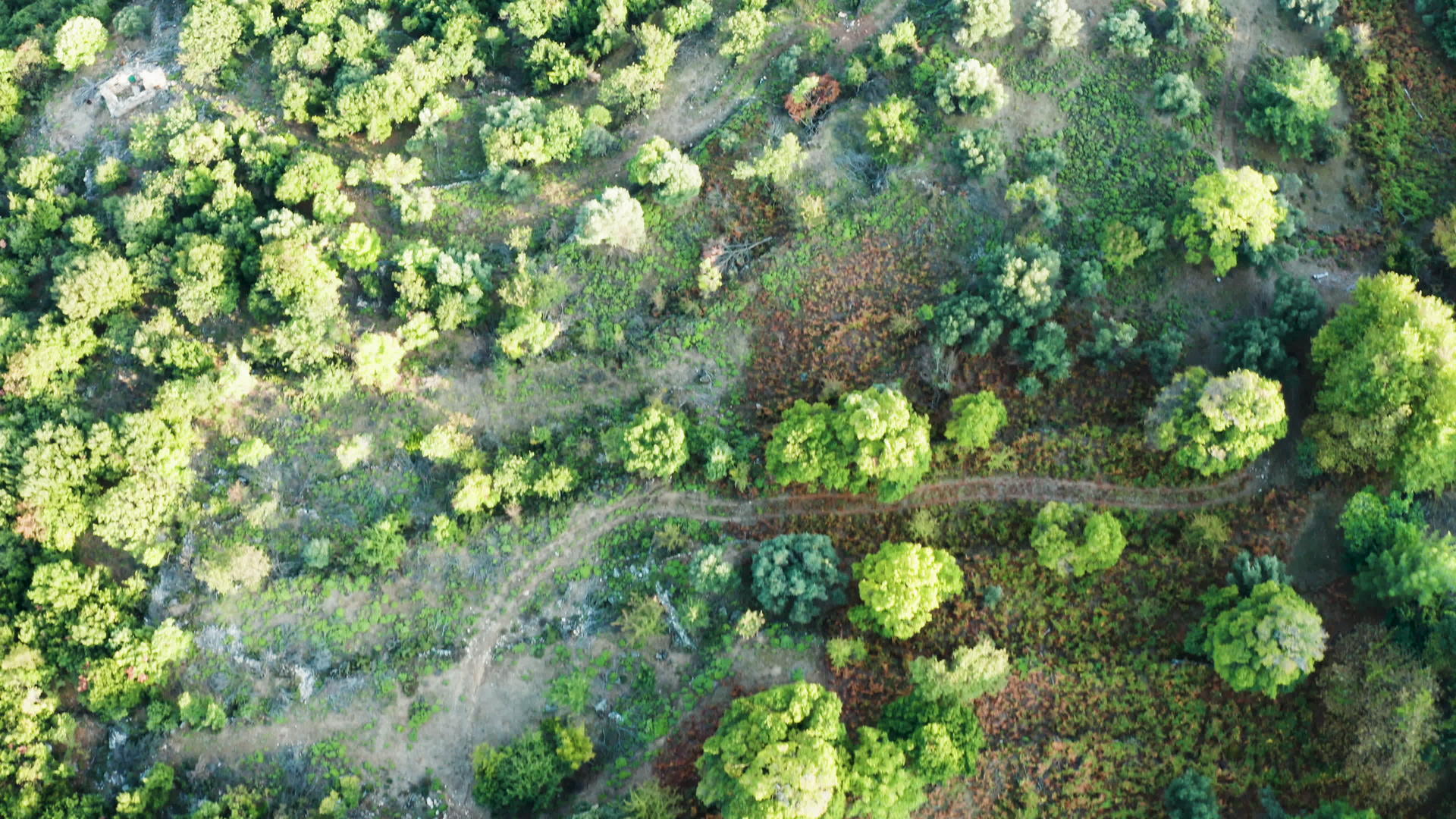 飞越绿林的无人驾驶飞机视频图片视频的预览图