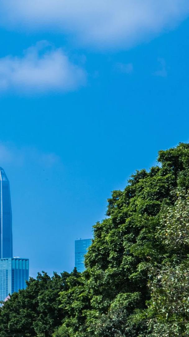 深圳最高楼平安大厦笔架山公园视频的预览图