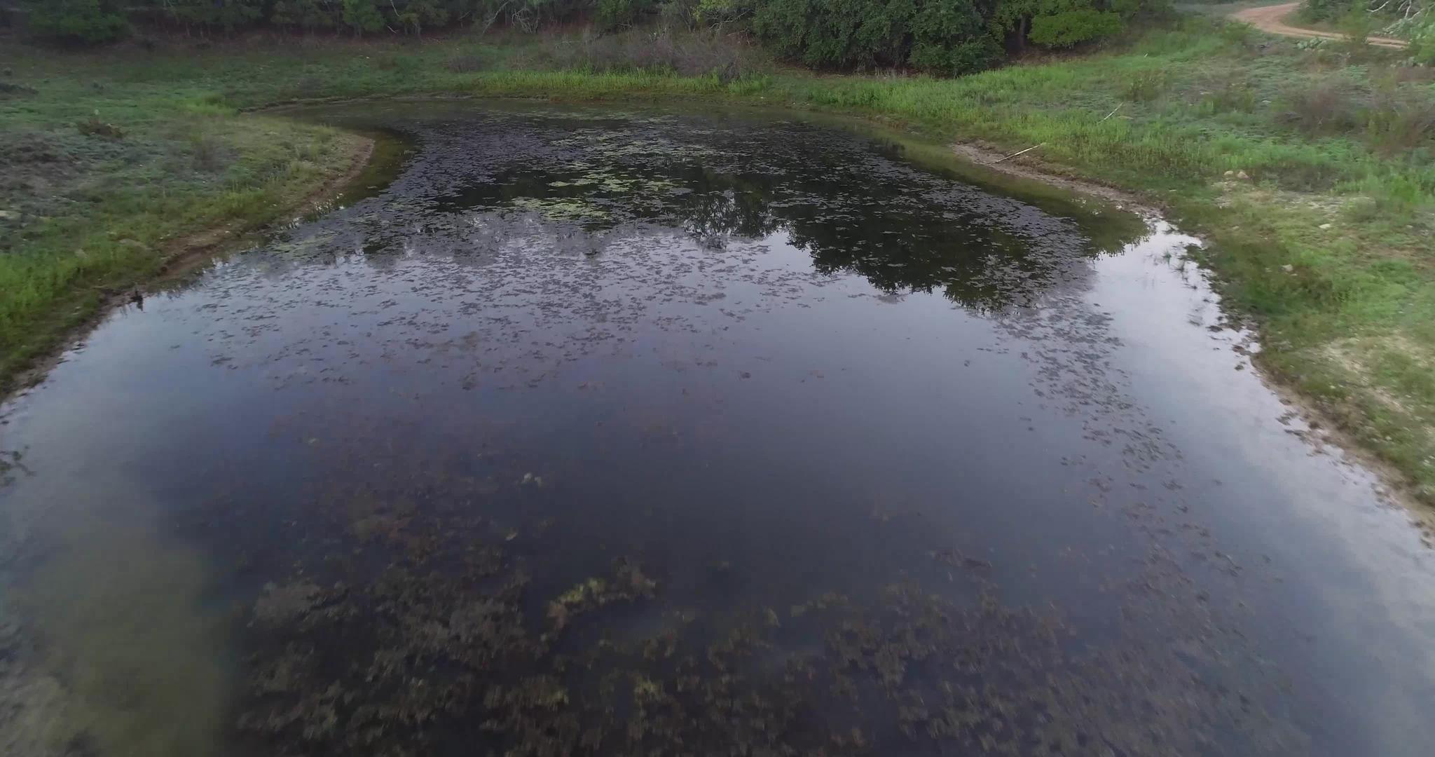 空中飞越池塘视频的预览图