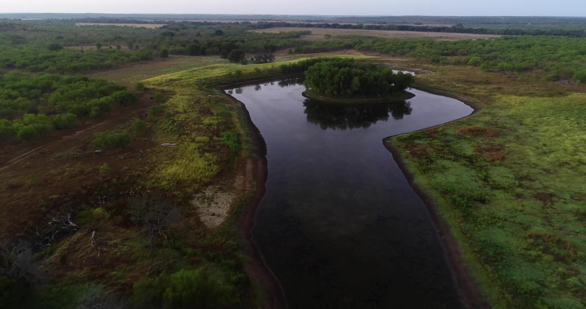 观察富兰地泉水区附近牧场的一个池塘的空气视频的预览图