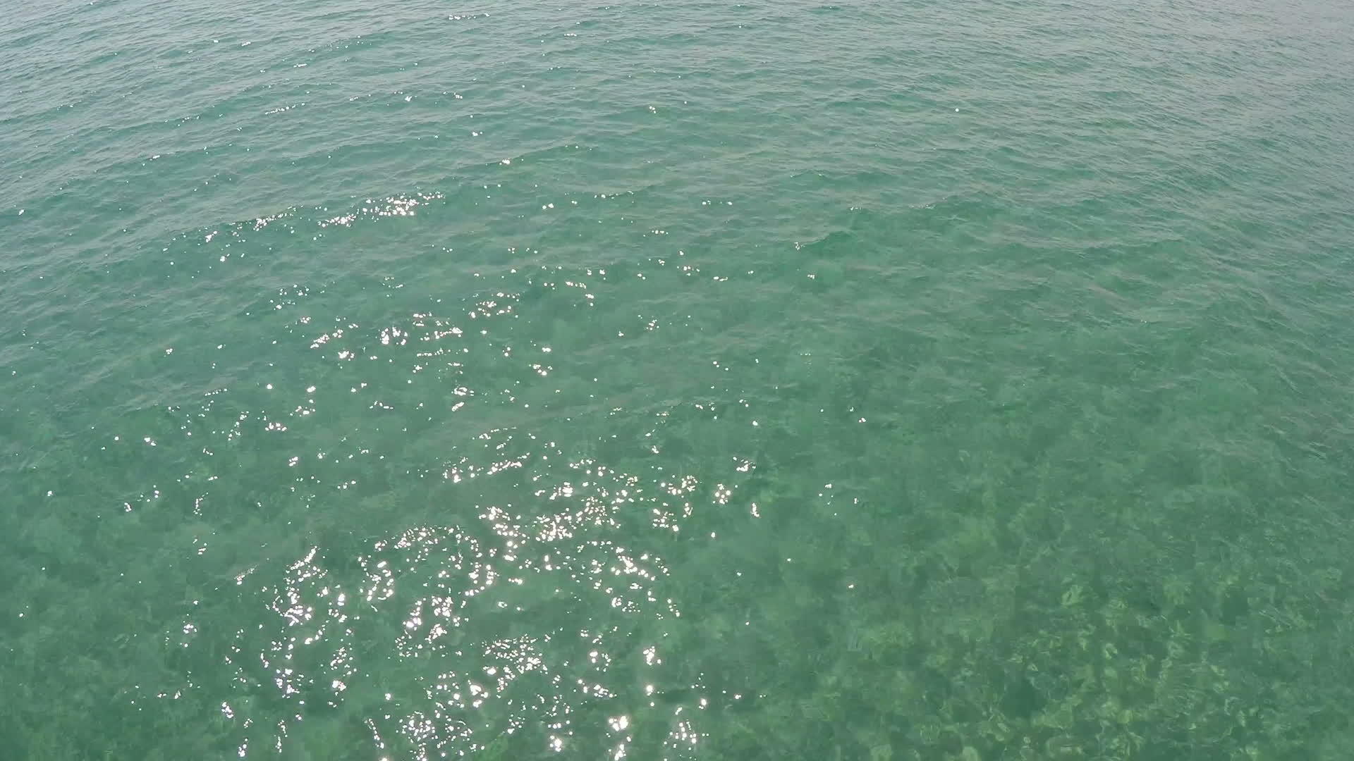 海面绿水视频的预览图