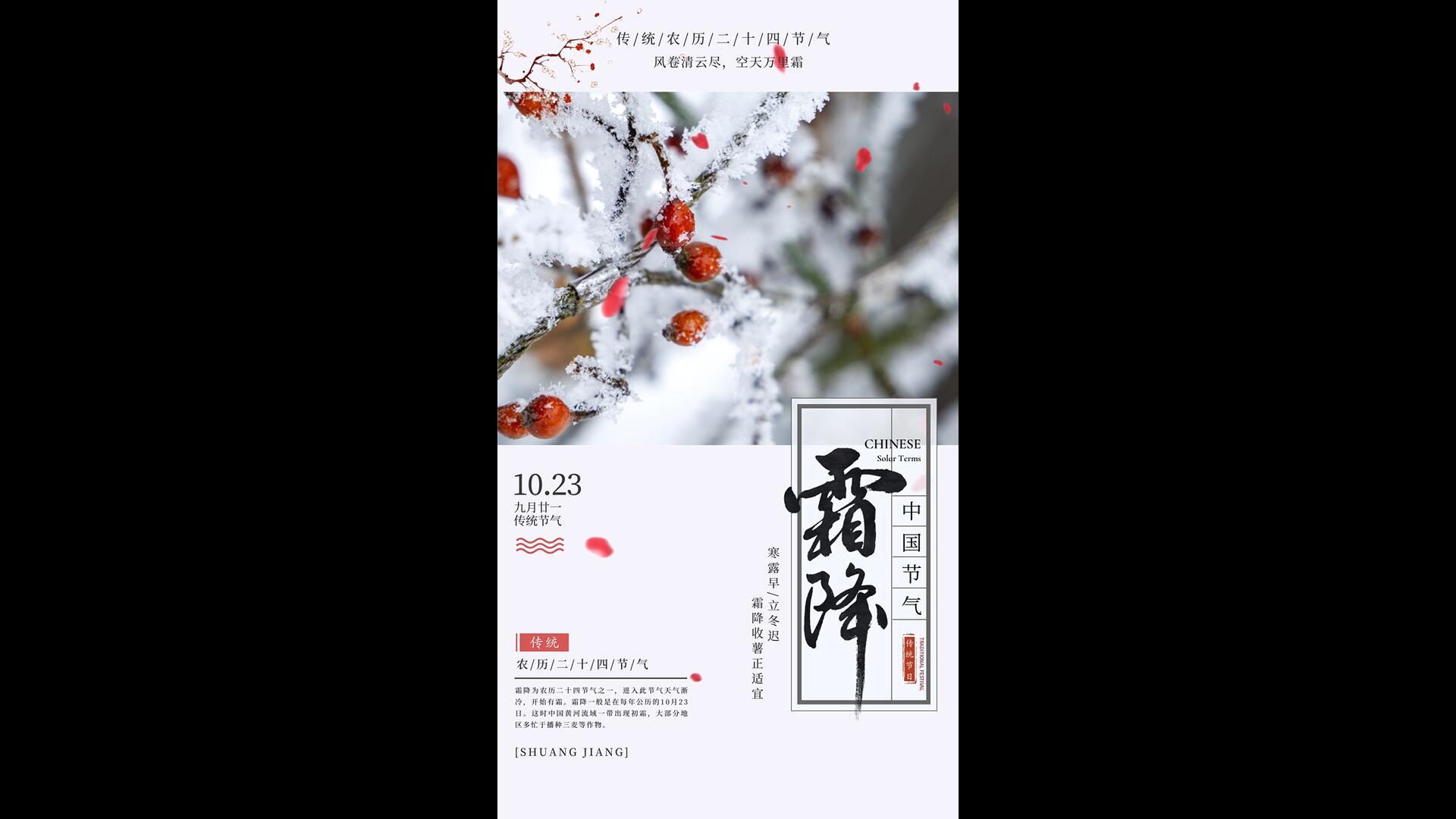 简洁大气霜降宣传海报AE模板视频的预览图