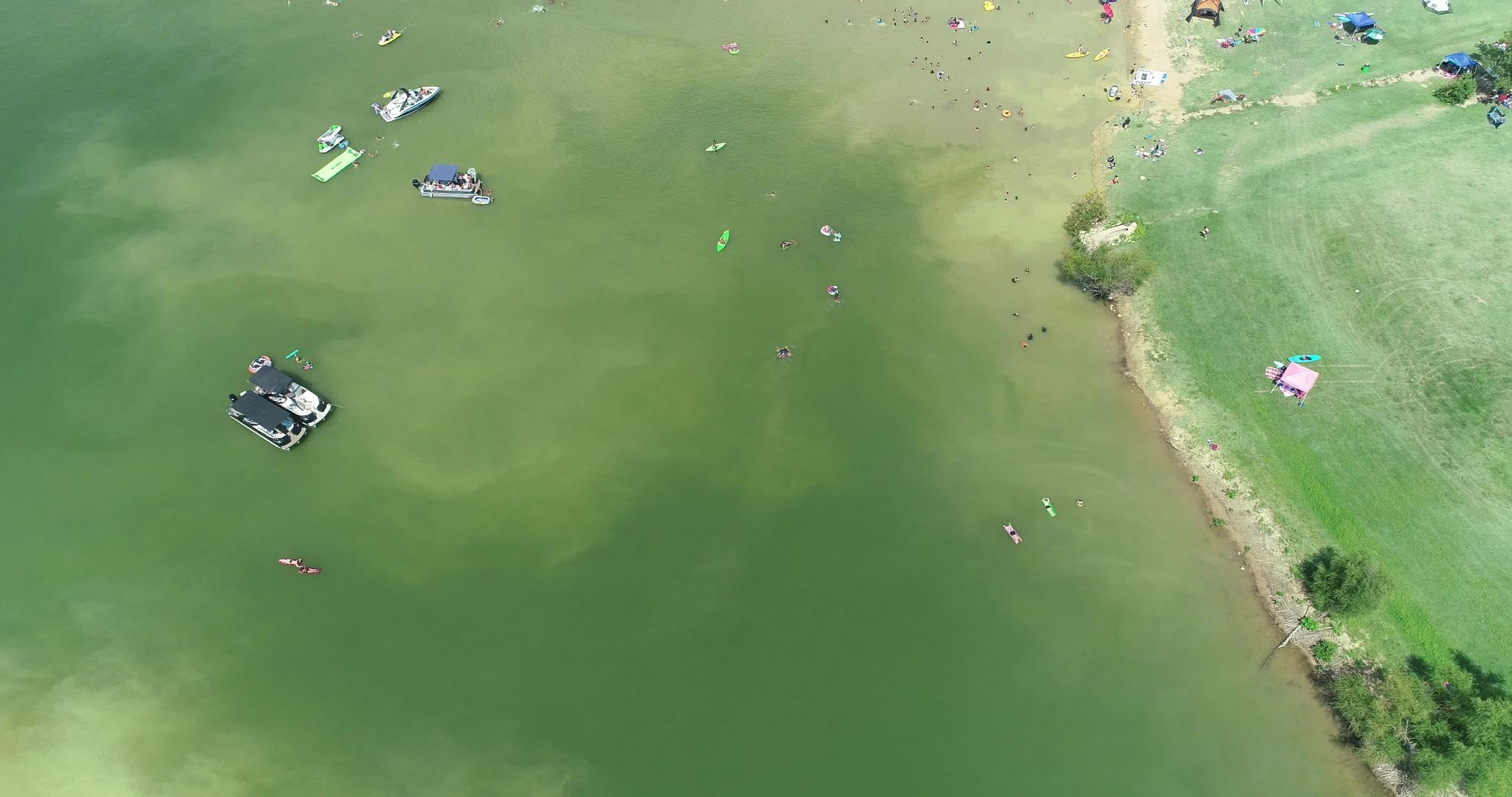 人们在莱维斯维尔湖的铜枝公园游泳视频的预览图