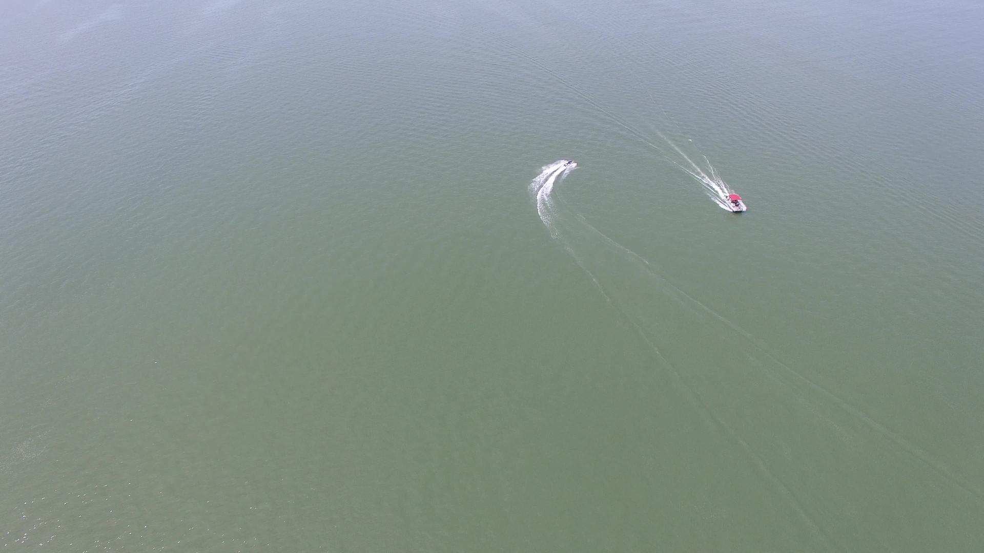 德克萨斯湖射线浴袍空中视频视频的预览图