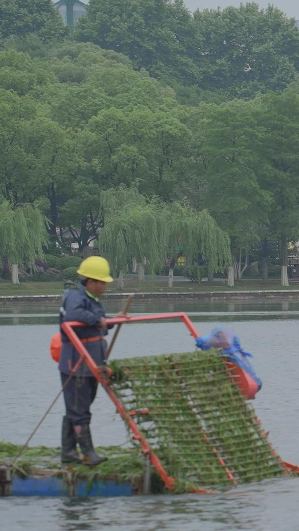 城市湖上劳动清洗水草净化水质的环保工人素材视频的预览图
