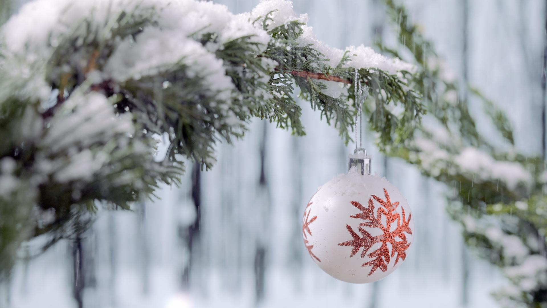 4k雪中松树林圣诞装饰球节日视频的预览图