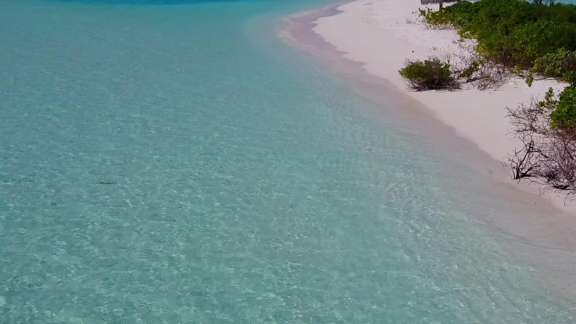 蓝色环礁湖和美丽的旅游海滩生活方式背景清洁沙滩视频的预览图