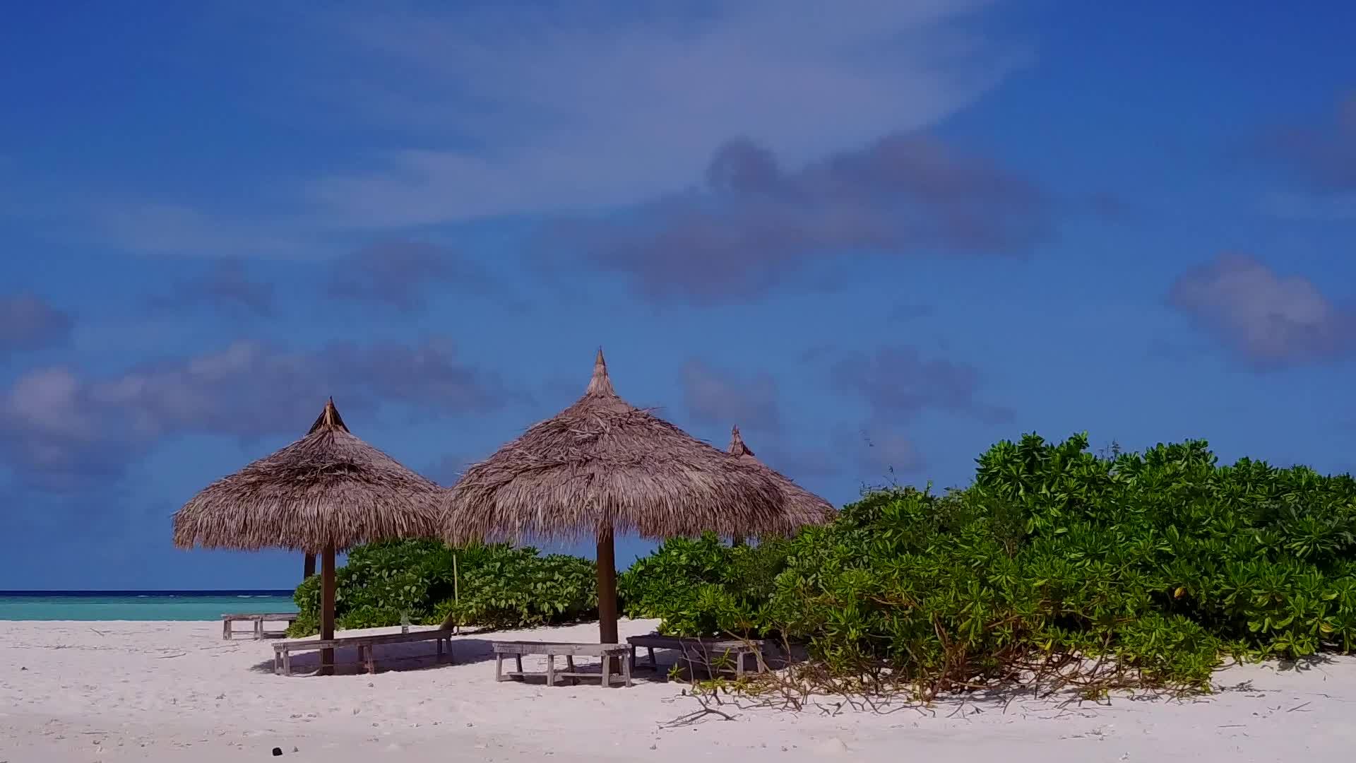 利用蓝绿色的海洋和干净的沙地背景观察环礁湖海滩的奇怪探险视频的预览图