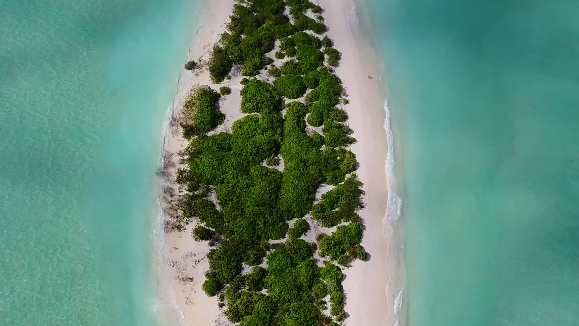 由绿色海洋和白色沙子组成的海滩间歇性无人驾驶视频的预览图