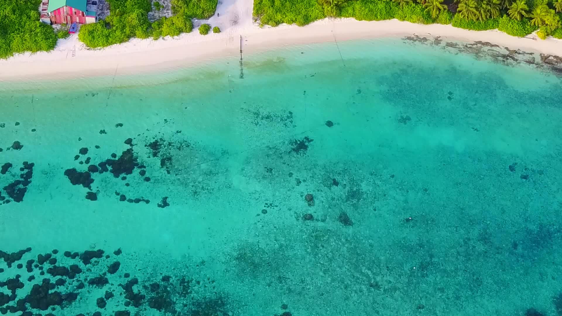 绿松石海洋下的海岸线视频的预览图