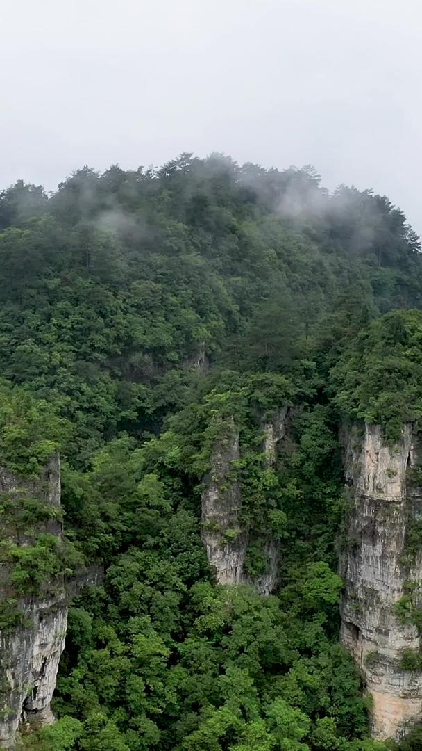 贵州世界自然遗产施秉云台山喀斯特地貌风光视频的预览图
