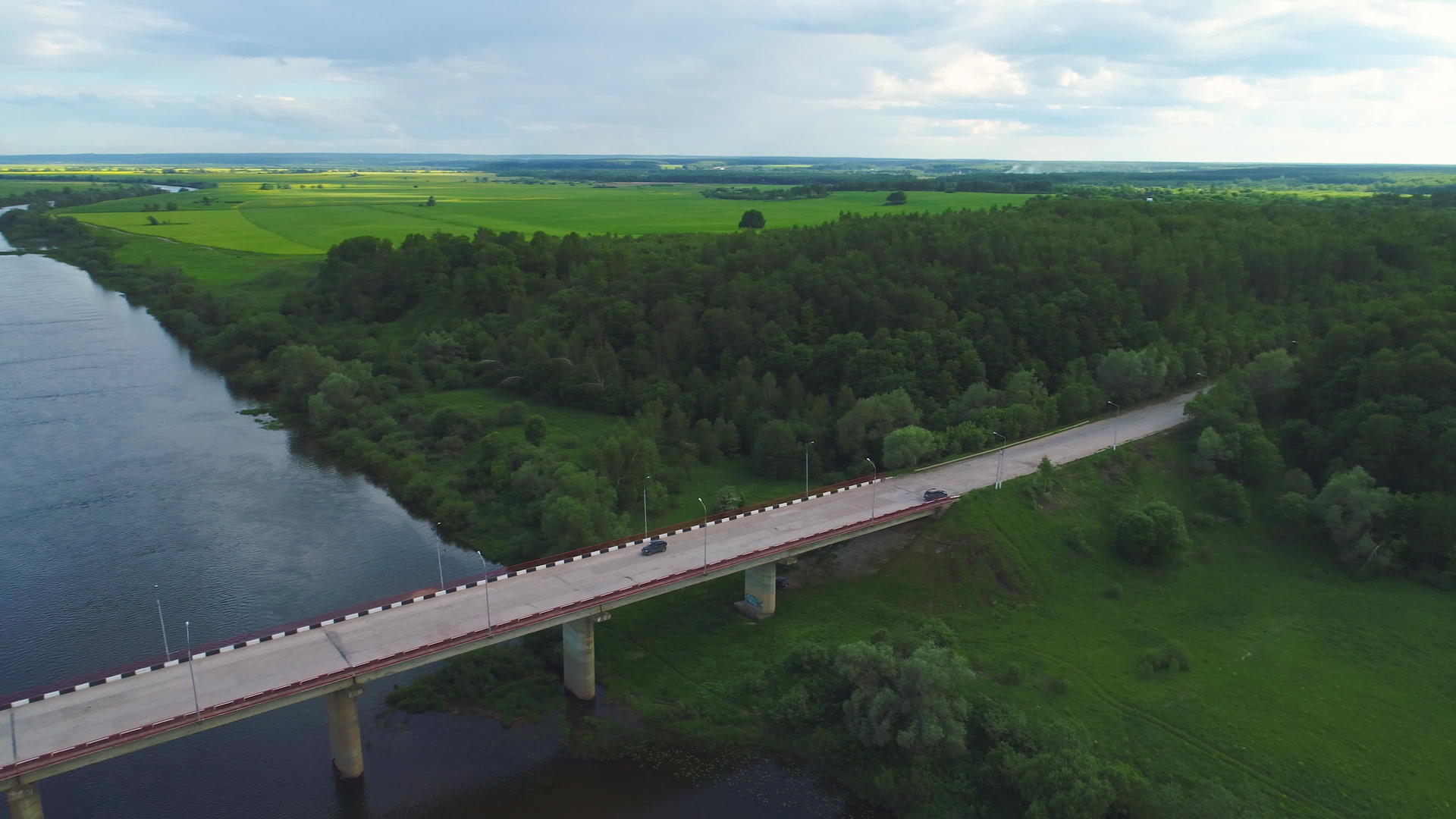 观察河上桥上的绿地和森林空间视频的预览图