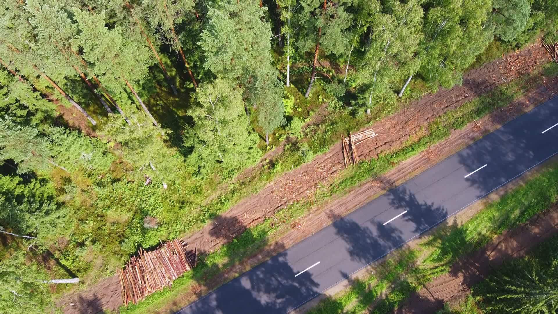 无人驾驶飞机飞越森林道路和茂密的绿色森林视频的预览图