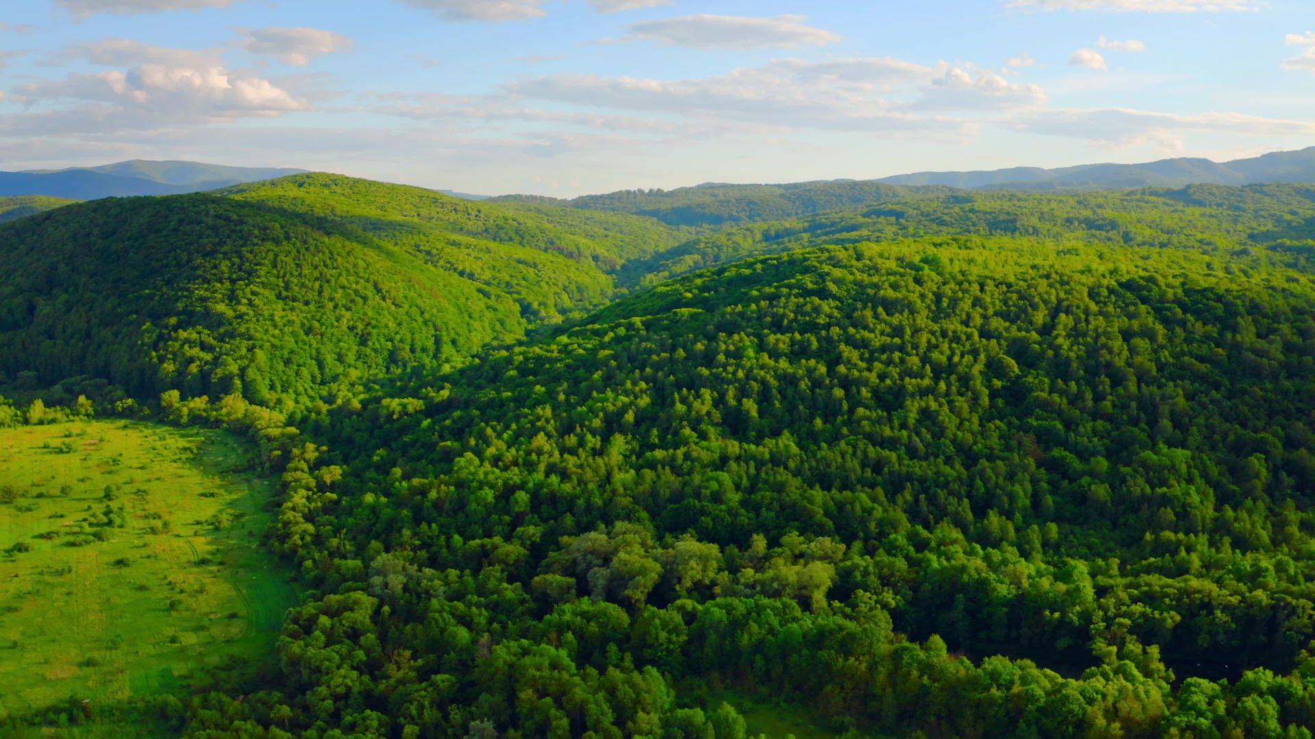 无人驾驶飞机飞越野林视频的预览图