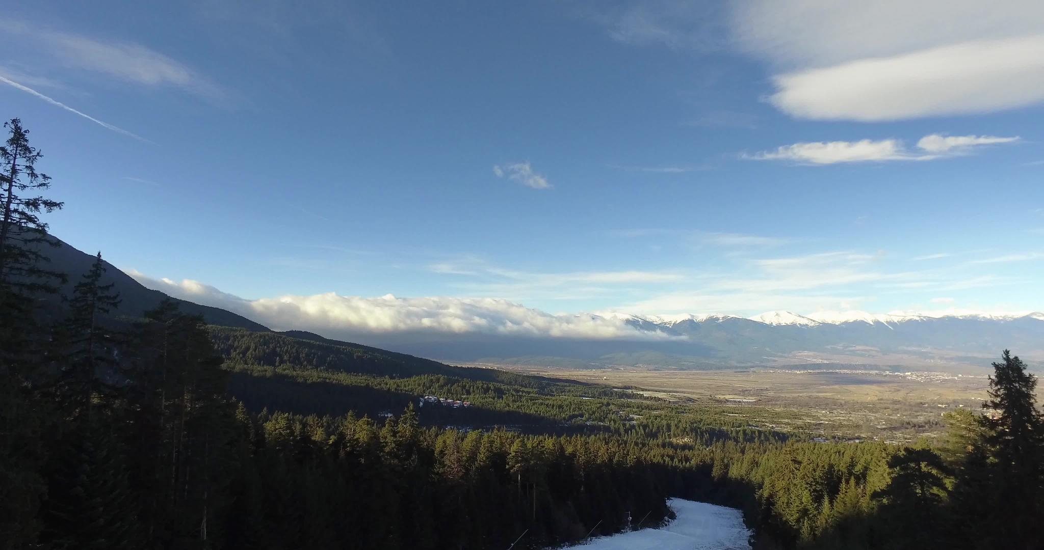 冬季在松林上空飞行视频的预览图