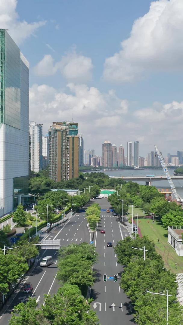 广州市珠江滨江道路河岸绿化视频的预览图