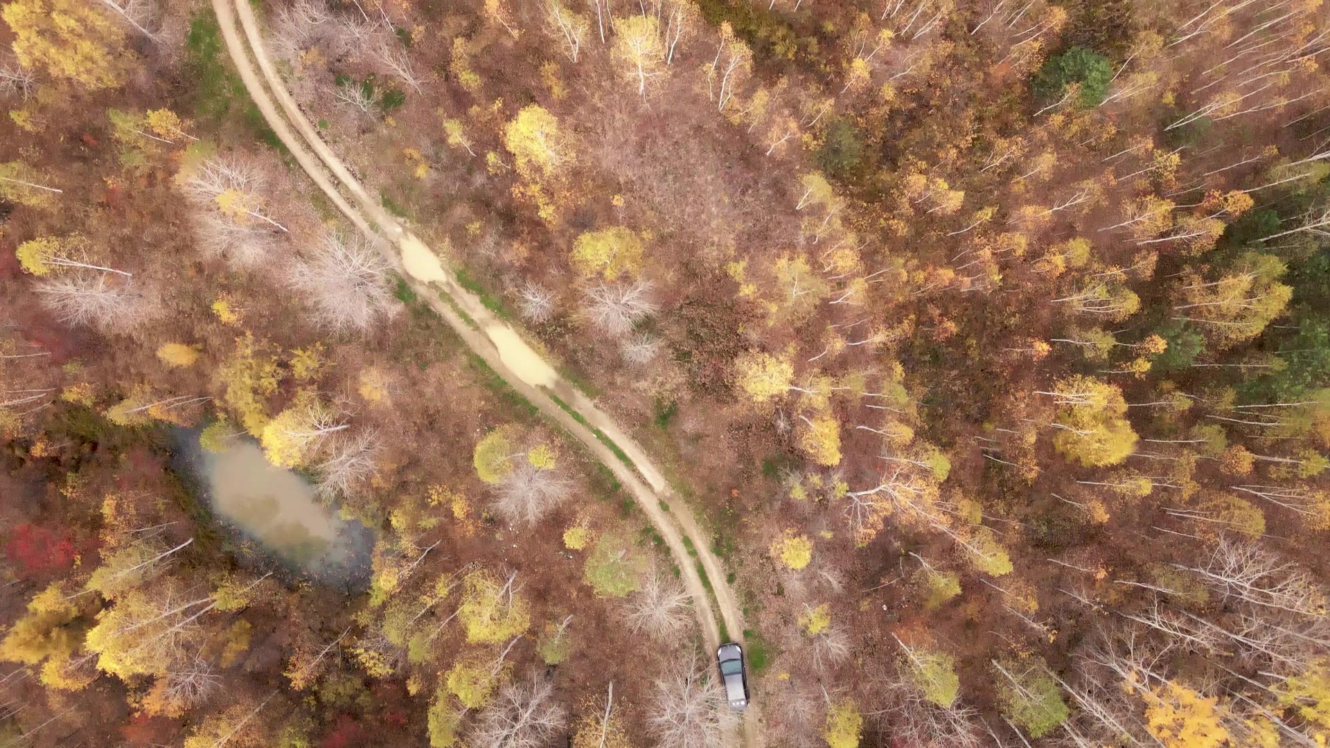 一辆灰色的公共汽车沿着森林土路穿过高山和秋树视频的预览图