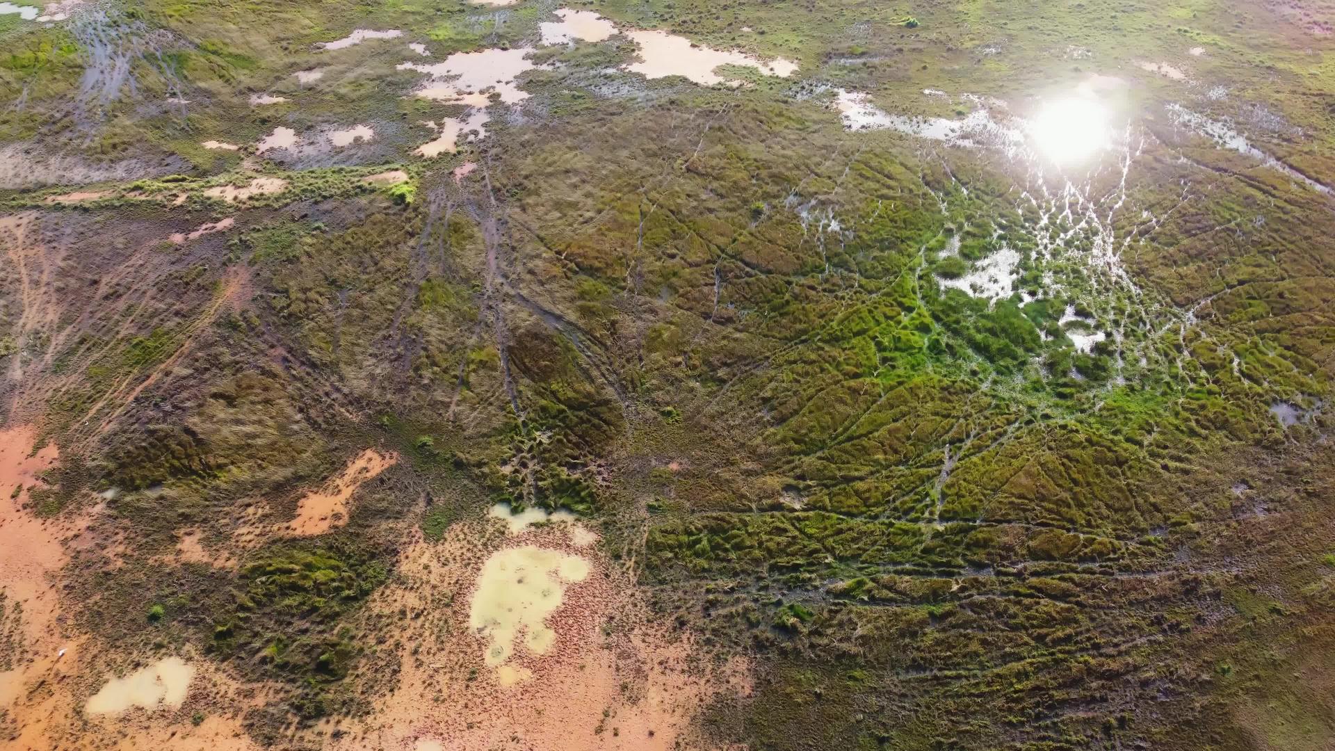 无人驾驶飞机在湿泥炭地上飞行视频的预览图