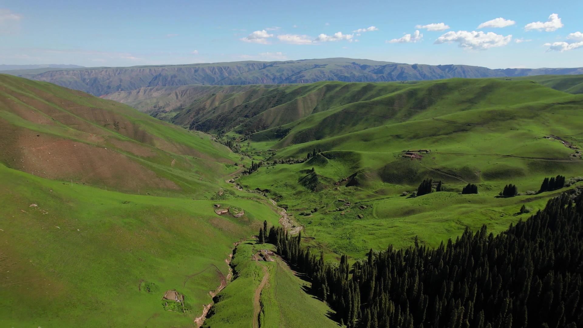 航拍草原峡谷森林生态风光视频视频的预览图