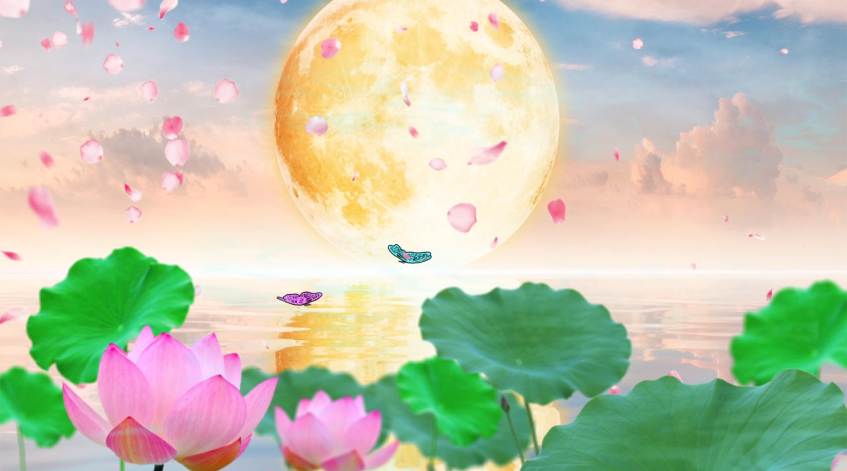 唯美月色荷花花瓣动画合成背景视频的预览图