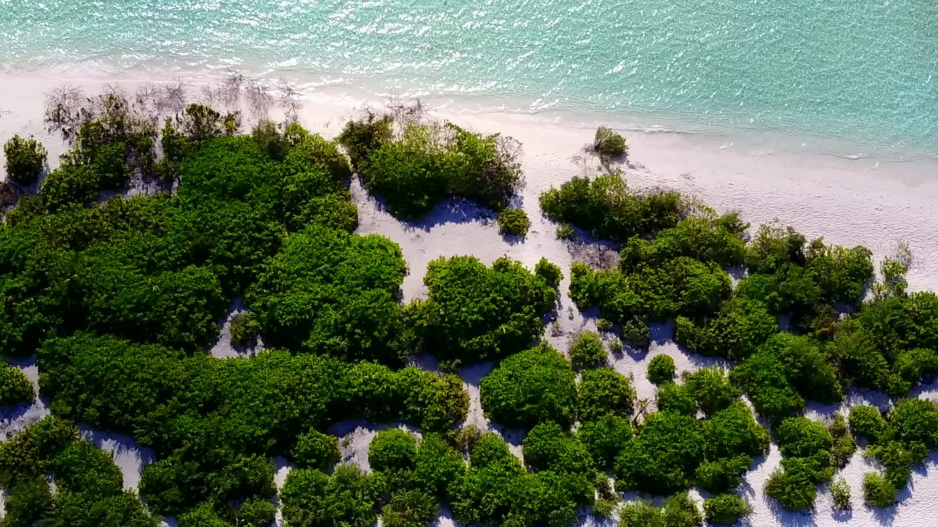 海洋度假胜地海滨冒险风景蓝绿色海白色沙底蓝海视频的预览图