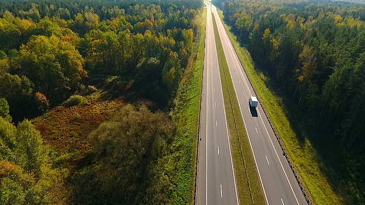 秋天森林中的乡村公路视频的预览图