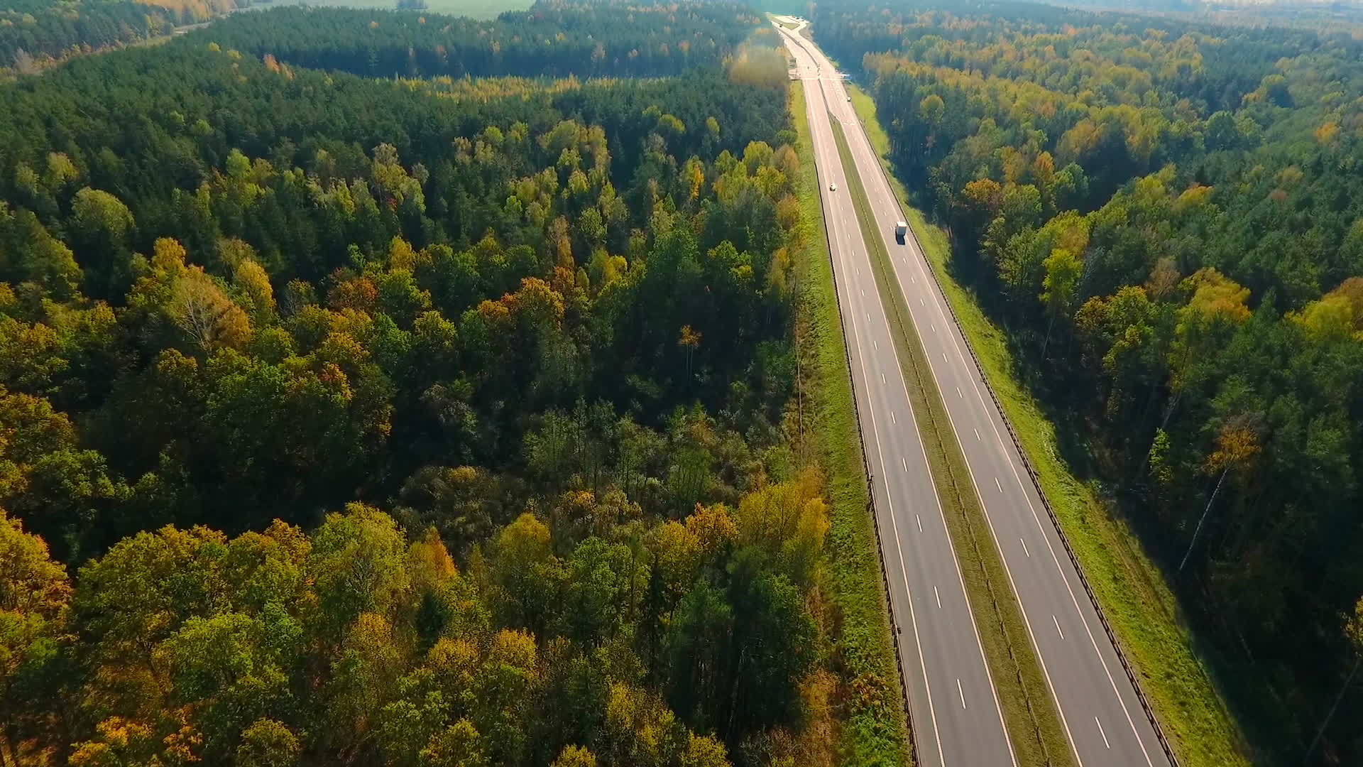 森林景观中的道路视频的预览图