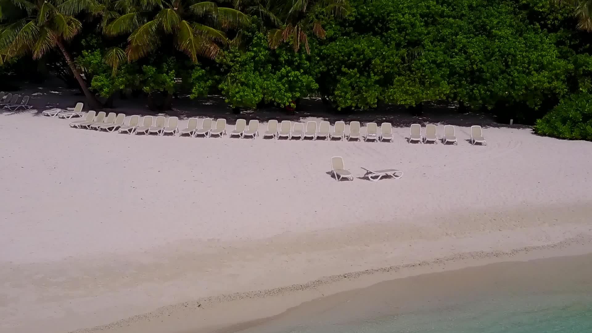 蓝色的水和美丽的海滩野生动物清洁沙子的背景视频的预览图