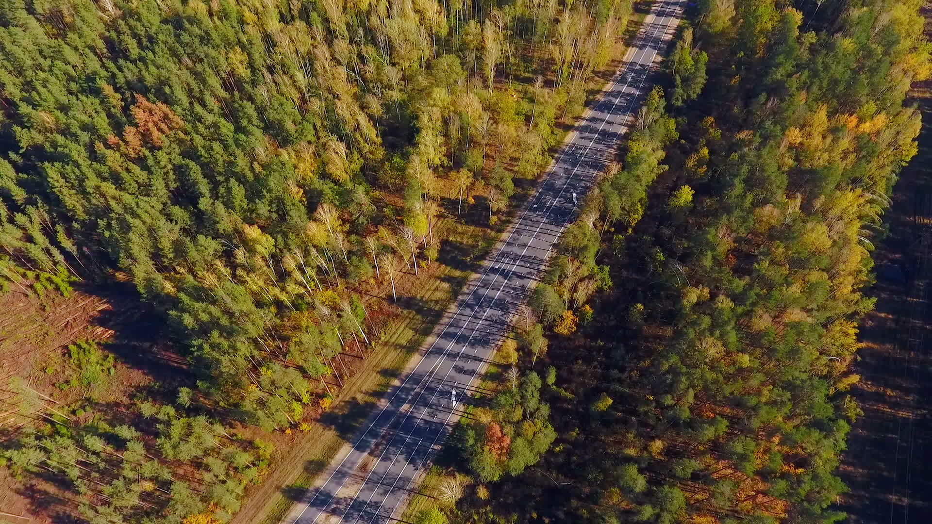 在空中观察森林地貌的空路视频的预览图