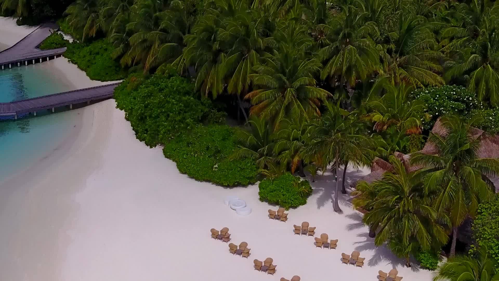 浅礁湖浅滩野生动物无人驾驶无人驾驶飞机性质视频的预览图