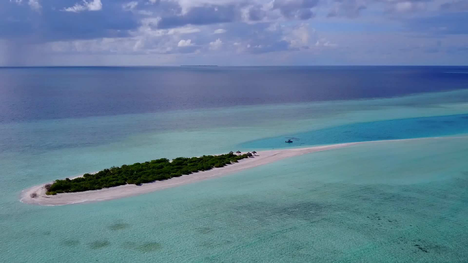 无人机旅海滩野生动物在透明海洋和白沙背景下的无人机旅游视频的预览图
