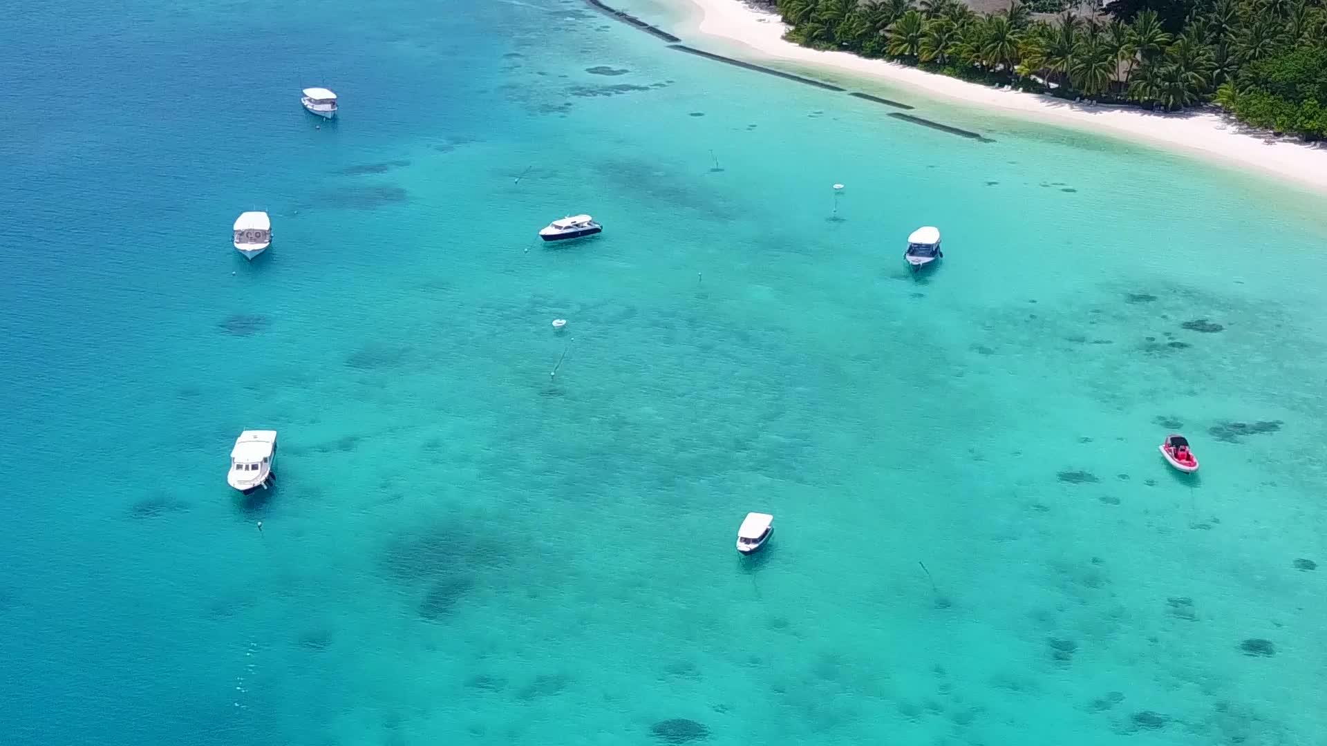 蓝环礁和白色海滩背景的天堂海岸海滩野生动物在空中无人驾驶视频的预览图