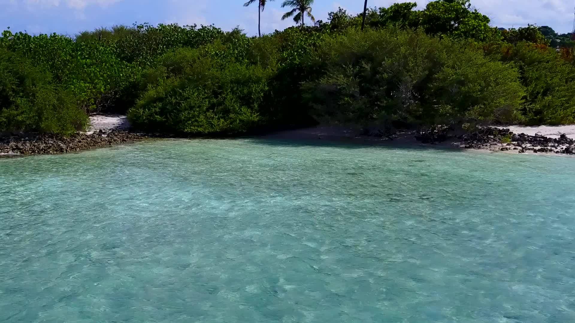 清水和白色沙滩背景视频的预览图