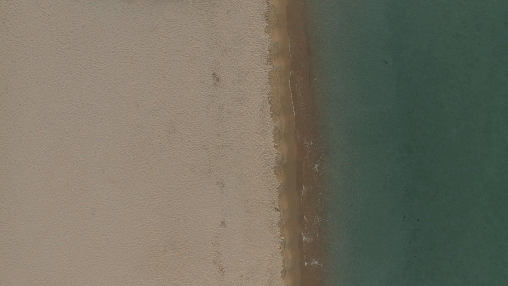 沙发长尾丝和太阳伞在海滩上飞行视频的预览图