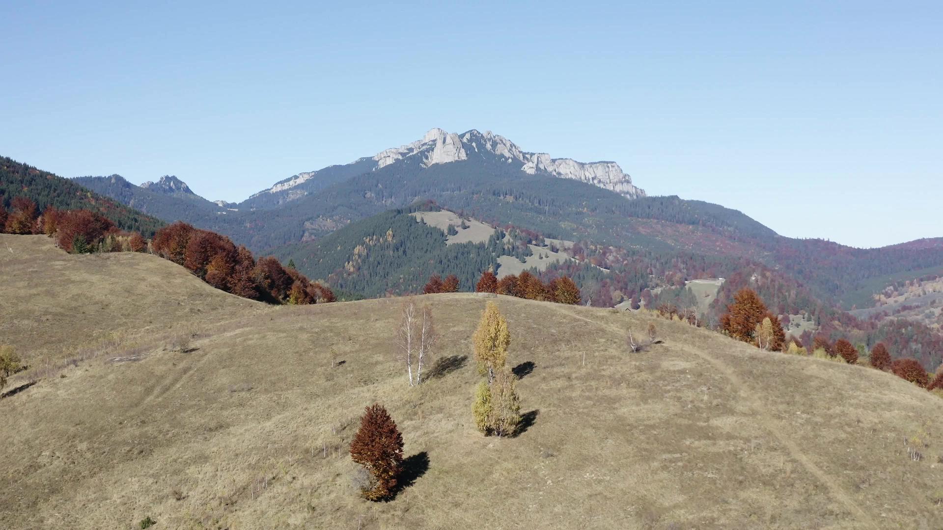 无人驾驶飞机在秋天飞越山上的树叶和牧场视频的预览图