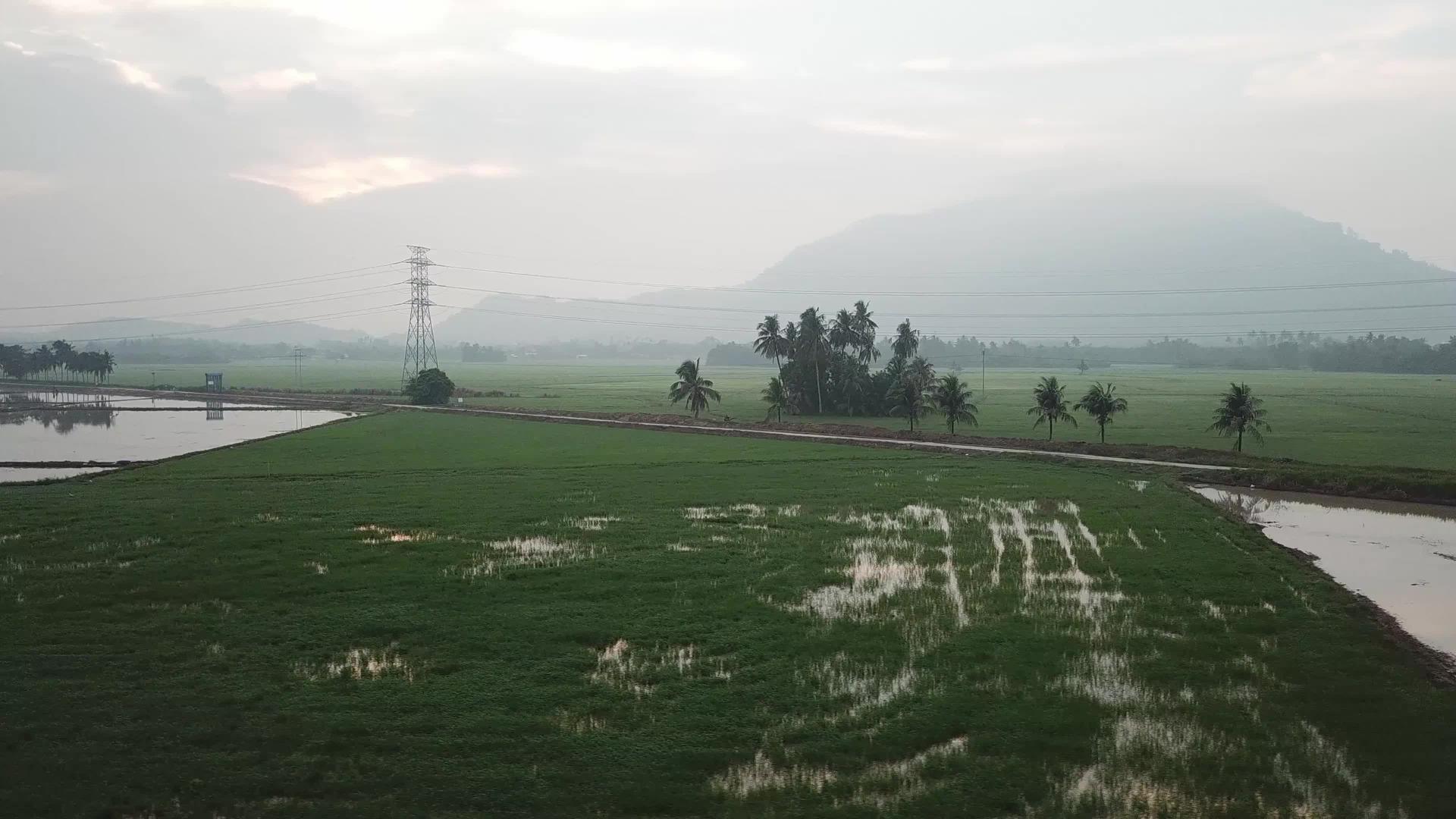 从绿稻田的BukitMertajam山视频的预览图