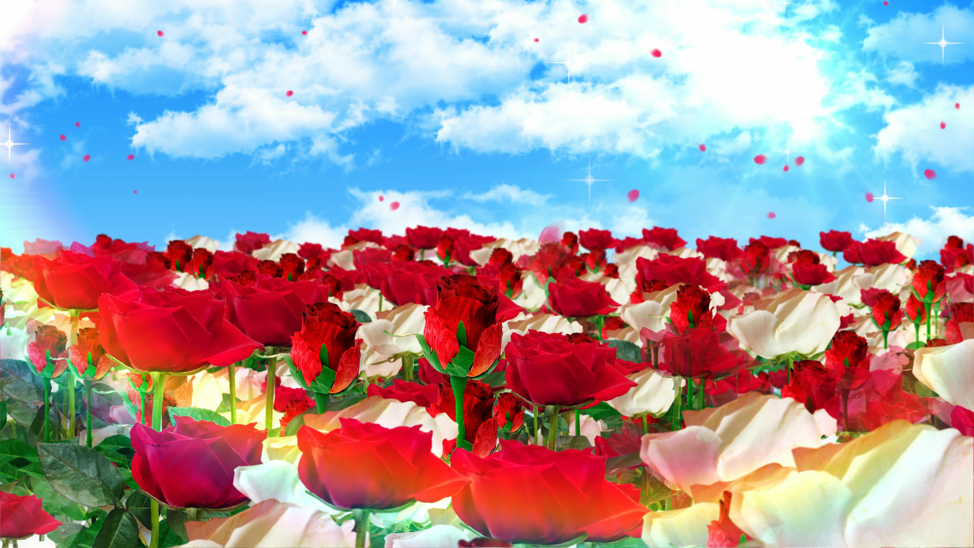 4K三维玫瑰花穿梭素材视频的预览图
