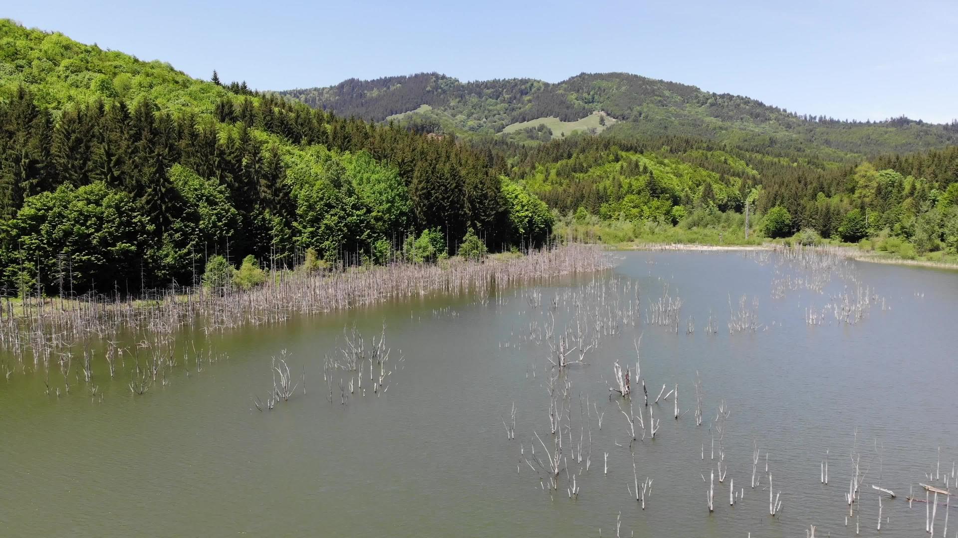 1991年罗马尼亚天然水坝湖的鸟瞰图视频的预览图