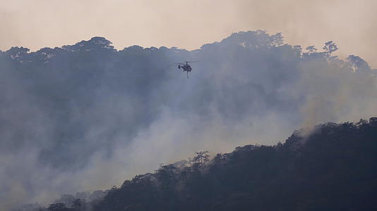 直升机向森林纵火浇水视频的预览图