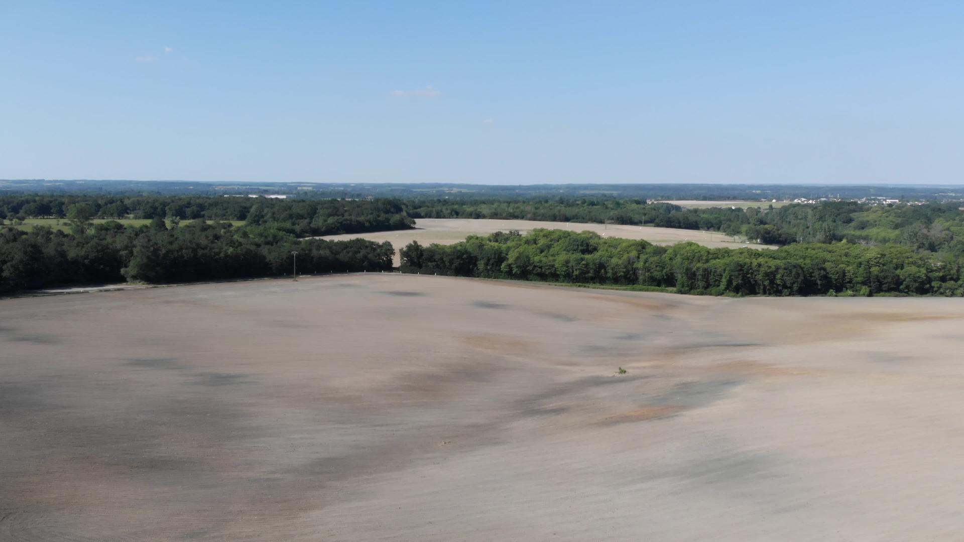 在空中观察小麦田成熟的黄色小麦背景视频的预览图