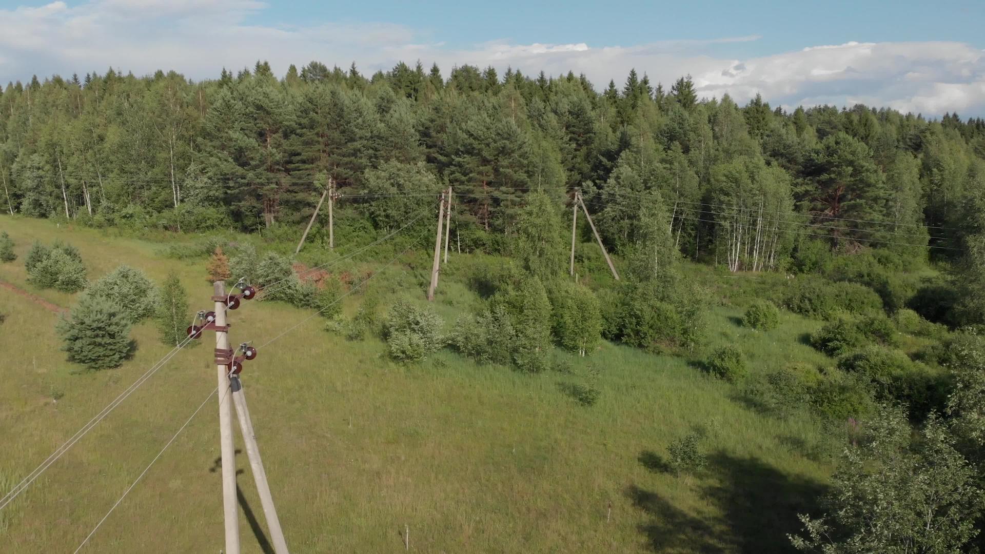 绿色农村地区森林空中射击森林直线和电线杆视频的预览图