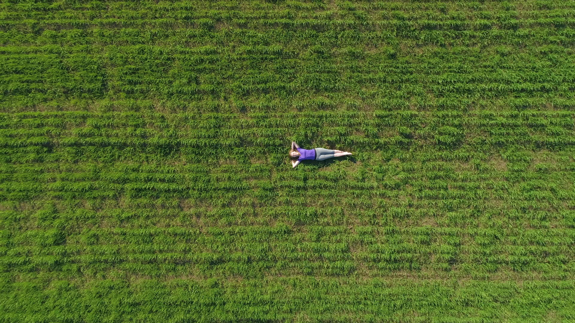 年轻女性躺在巨大的绿色草坪上向右放松无人驾驶飞机视频的预览图