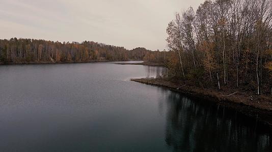 从上面看相机飞过平静美丽的湖面飞向秋天的树木和森林视频的预览图