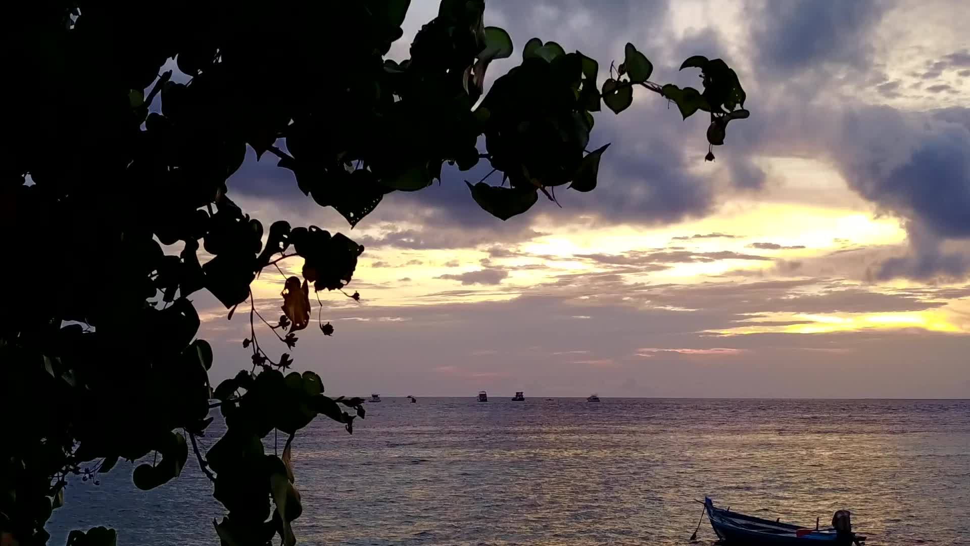美丽的岛屿海滩生活在清澈的环礁湖和白色沙滩的背景下视频的预览图