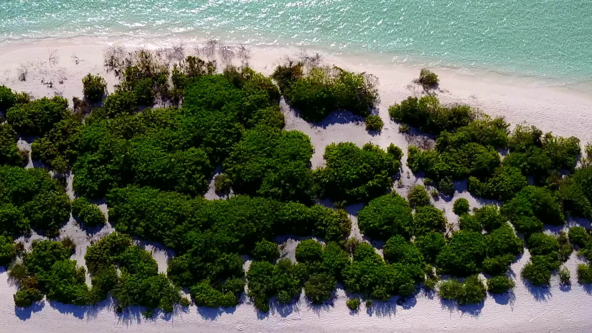 美丽的岛屿海滩生活在清澈的环礁湖和白色沙滩的背景下视频的预览图