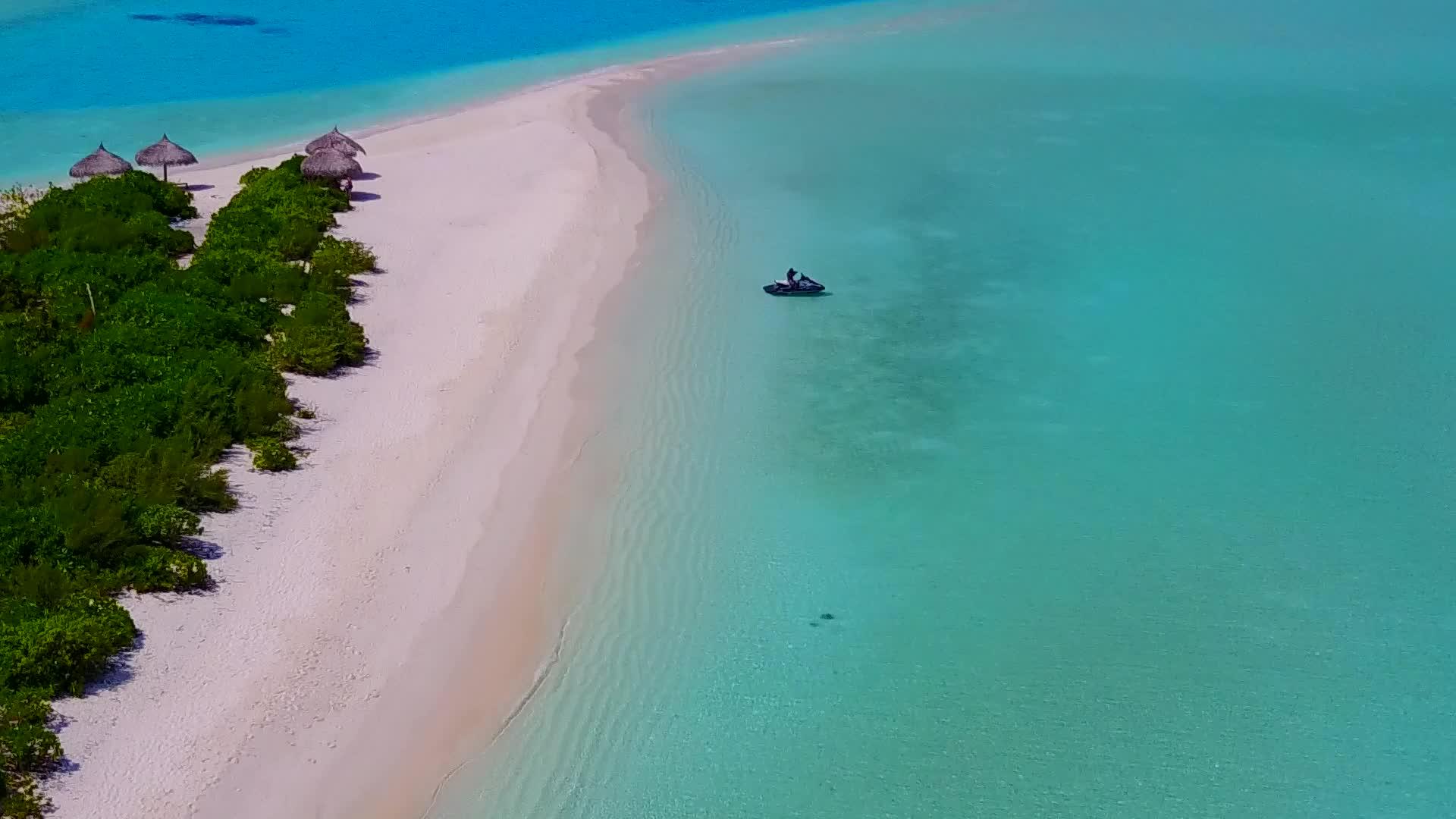 完美的海景海滩野生生物是在蓝环礁湖和白色海滩的背景下绘制的视频的预览图